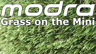 Grass on the Modra Mtuft Mini
