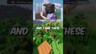 Mindblowing Minecraft Thoughts #39