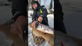 cooking fis and Jammu and kashmir #cooking #salmon #fishing #carpfishing