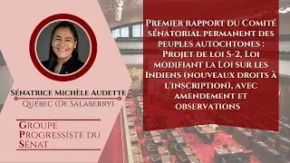 La s&eacute;natrice Audette prend la parole &agrave; l'&eacute;tape du rapport du projet de loi S-2 - 2 d&eacute;cembre 2025(FR)