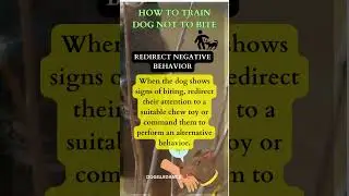 how to train dog not to bite #barkingoncommand #pets #caninecommunication #doglife #yourdog #yourpet