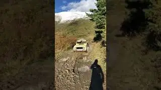 Renault 4