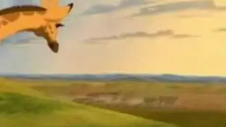 Lion king~the heart of Africa