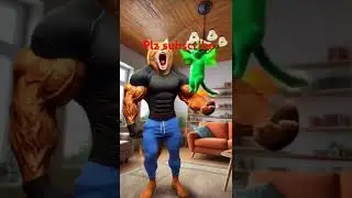 #sortvideo #love #animallover #animals #videos #news #hindisong #virlvideo
