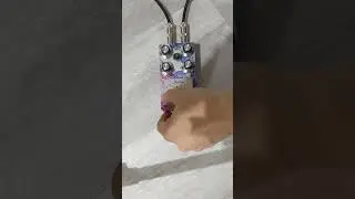 DanDrive Austin Pride Fuzz Face