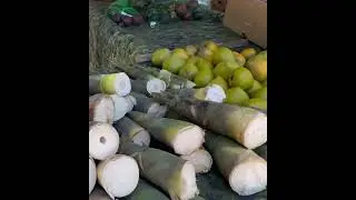 Market in clear water Florida #freemarketing #florida