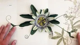 DIY ~ Passion Flower Kit Tutorial