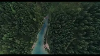 Nature Relaxing Piano Music with Bird Sounds ,Study, Focus, and Relaxation Music, beautiful forest 
