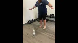 Anterior Object Tap