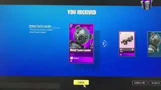 Metal Team Leader Fortnite (STW)