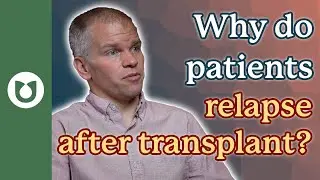 Why do patients relapse after transplant? #AML