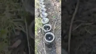 AMAZING EMPTY WINE BOTTLE INTO PLANT HEDGES