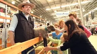 2015  Royal Melbourne Show - Day One