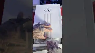 Unboxing ! Bad Bunny PUERTO RICO 🇵🇷 💪🏽!