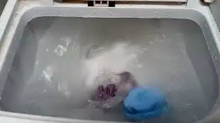 Costway twin tub washing machine & panda dryer