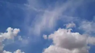 Throcking Maiden flight