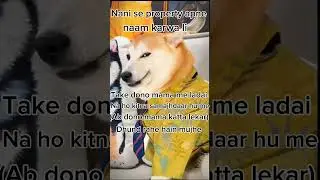 Funny Sigma Dogesh #shorts#funnyshorts