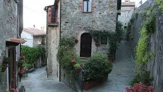 CASTELNUOVO VAL DI CECINA Comune in provincia di Pisa