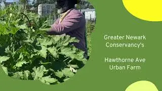 Hawthorne Ave Urban Farm