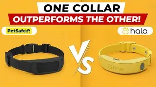 Halo Collar 4 vs PetSafe Guardian GPS 2.0: One GPS Dog Fence SURPRISED Me!
