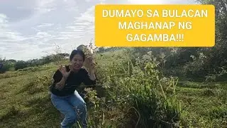 DUMAYO SA BULACAN MAGHANAP NG GAGAMBA!!!????