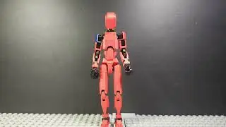 T13 short test animations