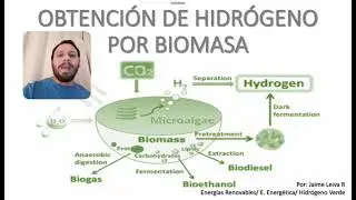 OBTENCIÓN DE HIDRÓGENO A TRAVÉS DE BIOMASA