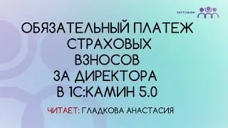 Обязательный платеж страховых взносов на директора в 1С:КАМИН 5.0