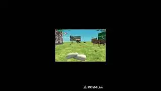 chicken gun Live || bloody player