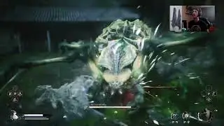 (BlackMyth:Wukong) Someone Call a Bug Exterminator: The Second Sister Fight