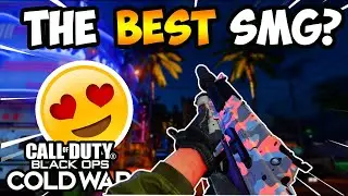 The Next MP5 in Black Ops Cold War?? (Bullfrog Best Class Setup!)
