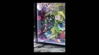 making infinite flowers in an infinite mirror #makeup #viral #victor #trend #viralvideo #video 