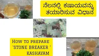 ನೆಲನಲ್ಲಿ ಕಷಾಯವನ್ನು ತಯಾರಿಸುವ ವಿಧಾನ. HOW TO PREPARE STONE BREAKER LEAVES 🍃 KASHAYAM.