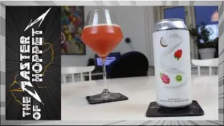 Evil Twin NYC Ryste Ryste Dragon Fruit Smoothie Bowl | TMOH - Beer Review #3191