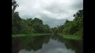 Rio Morichal Largo, Estado Monagas, Venezuela