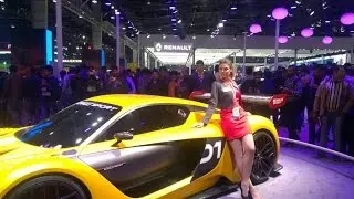 Car Angels @Auto Expo 'The Motor Show 2016' India Expo Mart, Noida