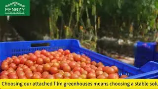 Multi-Span Plastic Greenhouse with Intelligent System 🌿