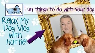 Fun Activities to do With your Dog!!