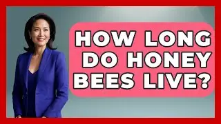 How Long Do Honey Bees Live? - Reptilian Wonders
