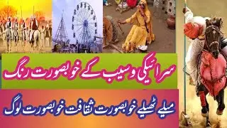 Beautiful Colors Of Saraiki Wasib || Saraiki Wasaib Ke Khubsorat Rang || Wasaib Voice ||