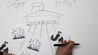 Permaculture Design. Chickens clean for wild plants and insects while fertilizing.