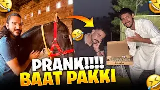 Tanveer ki Baat Pakki Prank 🤣 || Horse Ki Party 😊 || Bilal Tension Ma A Gaya😱 #prank #horse #party