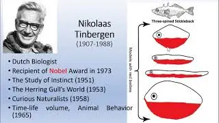 Historical background of Ethology: Who coined the term, Founders and contributors