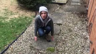 Dr. Butler Walks Around Her Yard & Talks About Plants - Episode #1