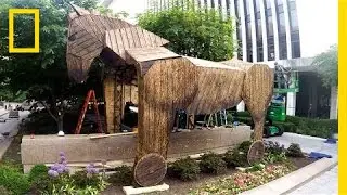 Watch a 3,700-Pound Trojan Horse's Road Trip to Washington, D.C. | National Geographic