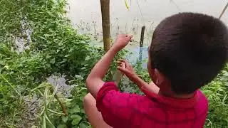 Fishing with Earthworms fishing around me #fishing #catchbigfish #bigfishhunting #fishingtechniques