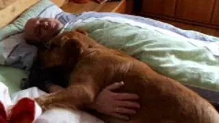 Skrolly mit papa im Bett