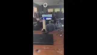 Behind the scenes of Gold and Blue Dude.