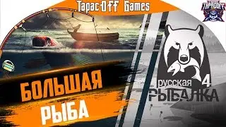 Русская Рыбалка 4 # Рыбалка с ТарасOFF GAMES # Что такое Сура? # Стрим