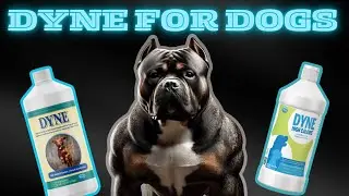 ОБЗОР ДОБАВКИ DYNE | ГЕЙНЕР ДЛЯ НАБОРА ВЕСА | MUSCLE DOG #добавкадлясобаки #наращиваниемышечнойма...